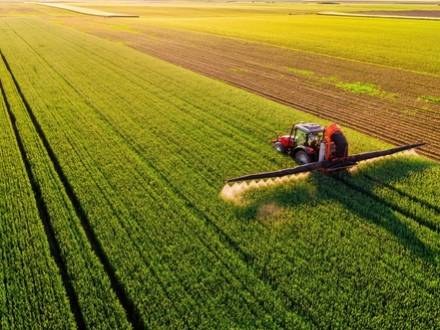 IL sexual harassment lawyer