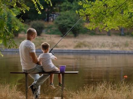 Wheaton, IL Family Law Lawyer Today